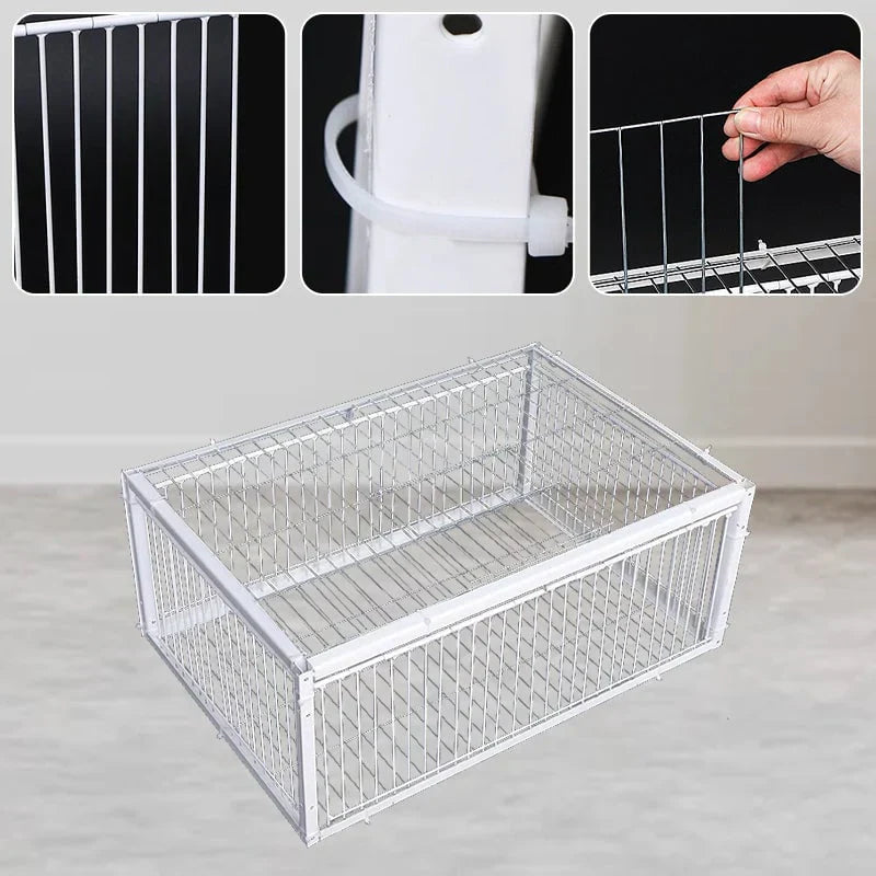 Cage à Oiseaux