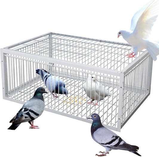 Cage à Oiseaux